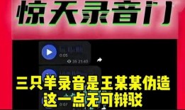 三只羊最新录音爆料,独家爆料背后的故事与真相